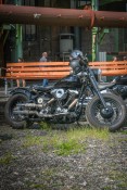 2025-Harley-Davidson-Meeting-Ruhrpott-Harleysite-015